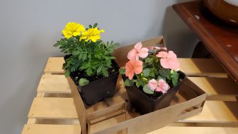 Mother's Day Flowers Giveaway